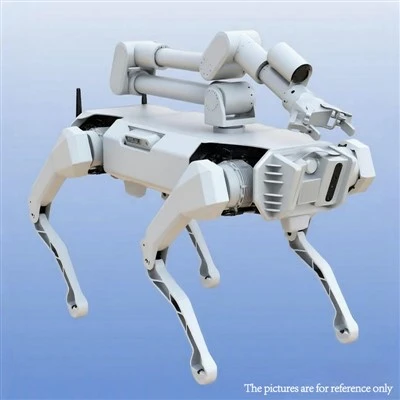 ロボット犬は、個別の訓練プログラムに活用できるだろうか？